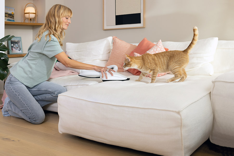 Vorwerk mit Katze