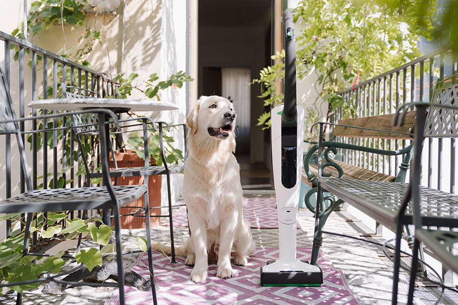Vorwerk mit Hund